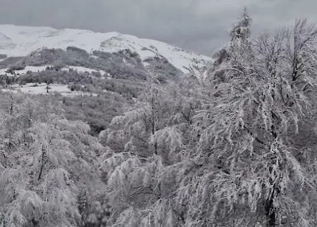 Garni Fobbie
